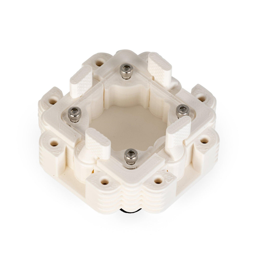 Módulo Hormiguero 1:1 - Ant Dimension