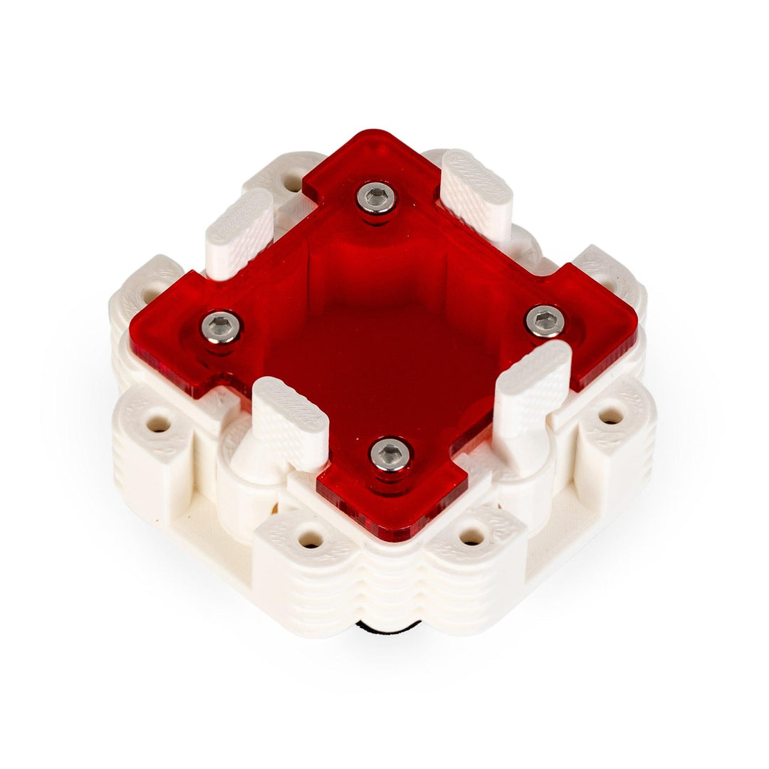 Módulo Hormiguero 1:1 - Ant Dimension