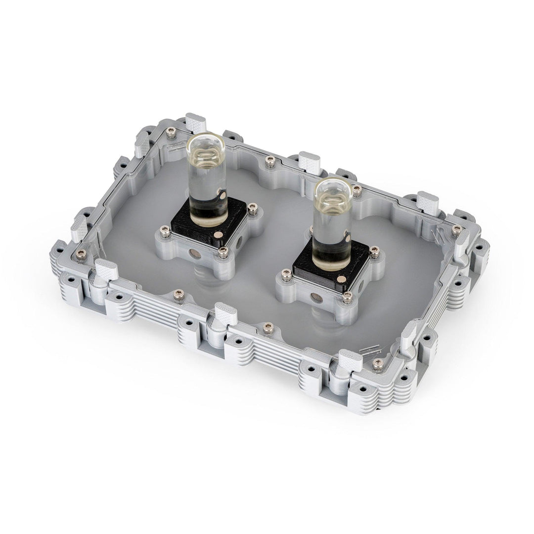 Módulo Hormiguero 3:2 - Ant Dimension