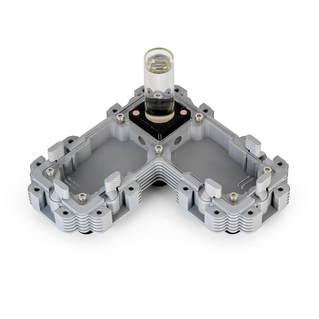 Módulo Hormiguero 2:1L - Ant Dimension