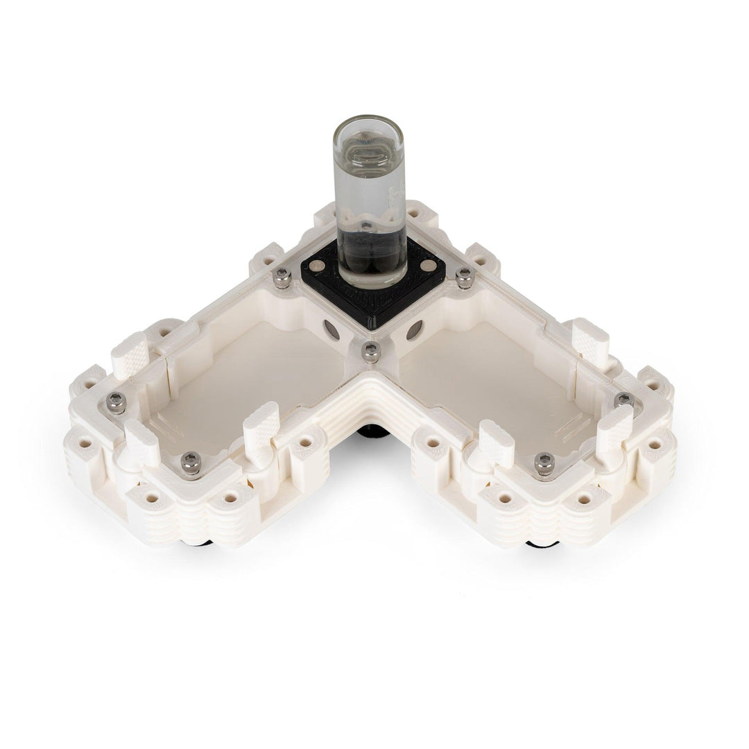 Módulo Hormiguero 2:1L - Ant Dimension