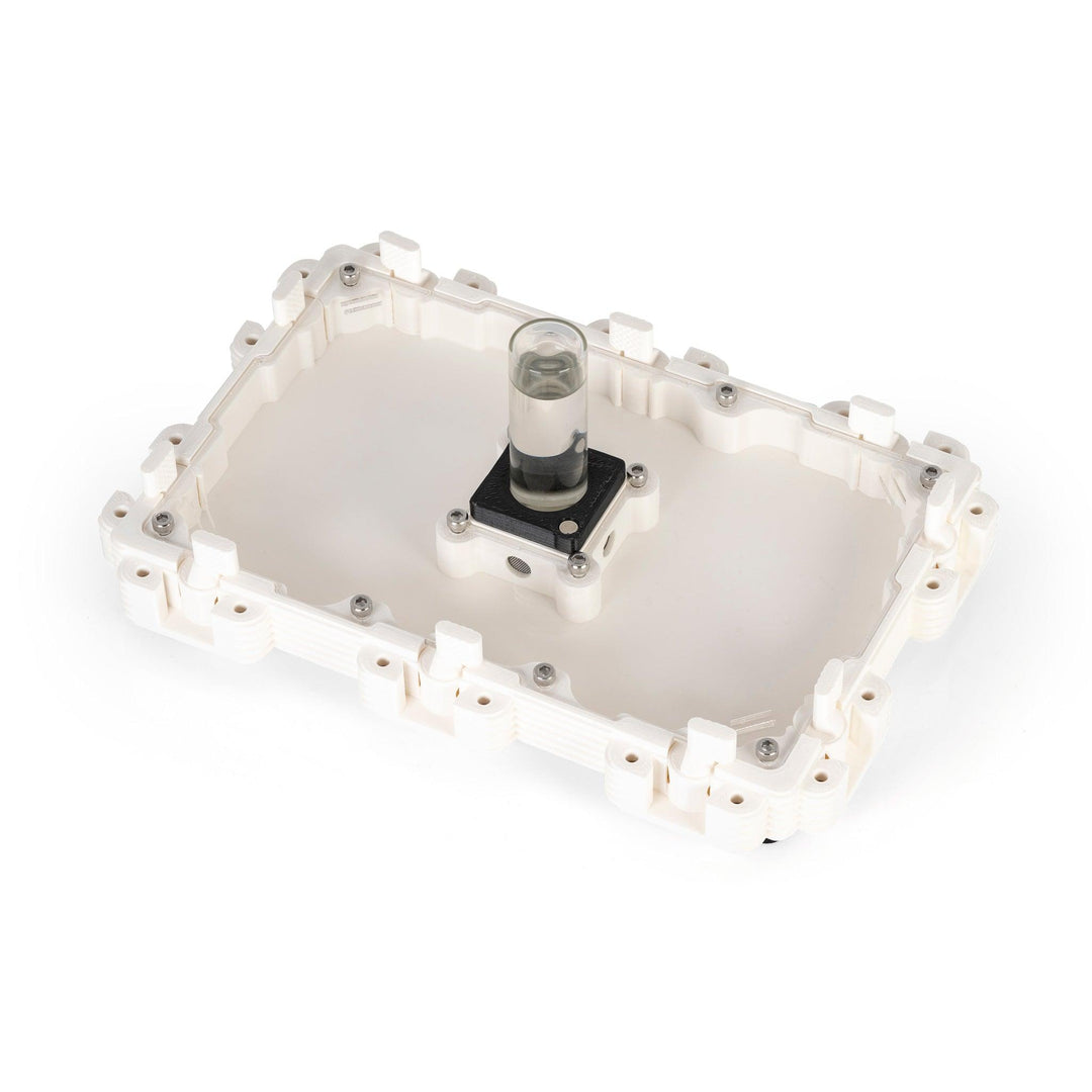 Módulo Hormiguero 3:2 - Ant Dimension