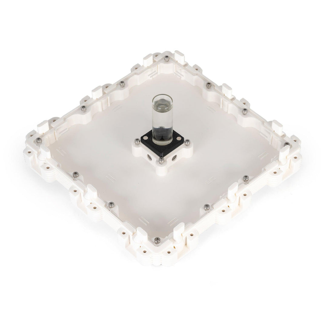 Módulo Hormiguero 3:3 - Ant Dimension