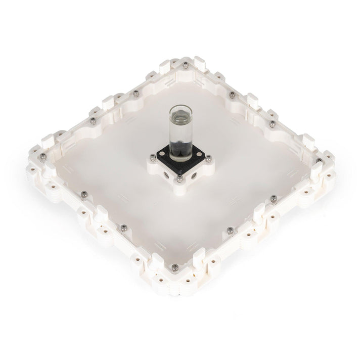 Módulo Hormiguero 3:3 - Ant Dimension