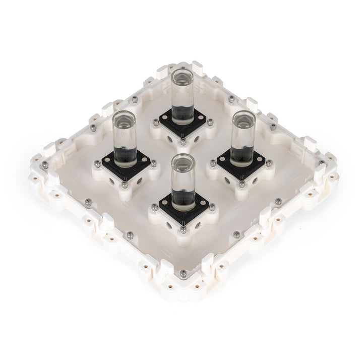 Módulo Hormiguero 3:3 - Ant Dimension