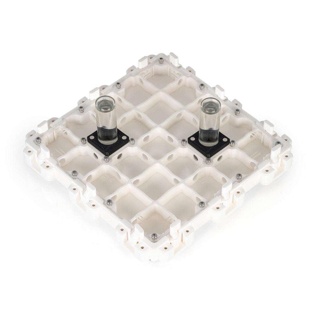 Módulo Hormiguero 3:3 - Ant Dimension