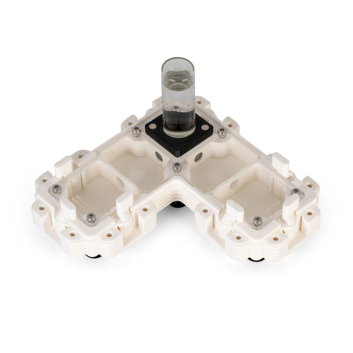 Módulo Hormiguero 2:1L - Ant Dimension