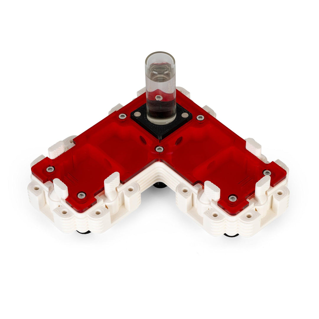 Módulo Hormiguero 2:1L - Ant Dimension