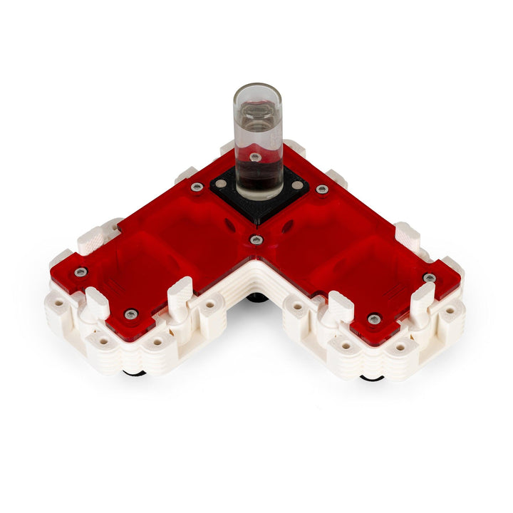 Módulo Hormiguero 2:1L - Ant Dimension