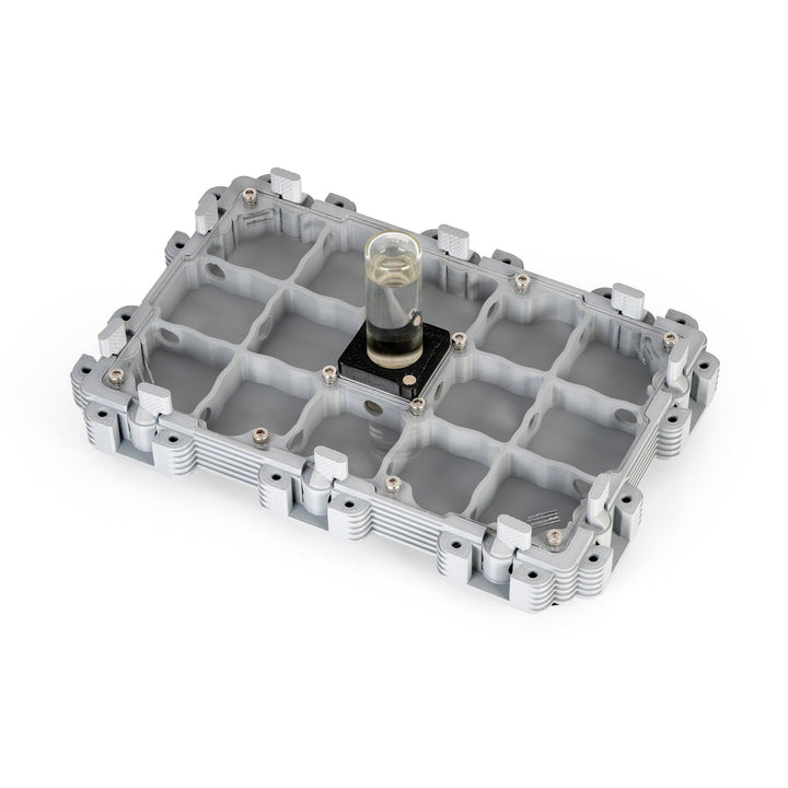 Módulo Hormiguero 3:2 - Ant Dimension