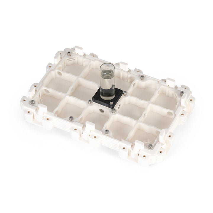 Módulo Hormiguero 3:2 - Ant Dimension