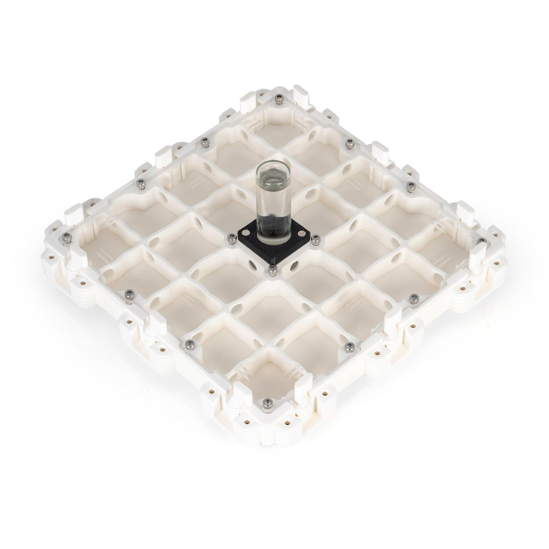 Módulo Hormiguero 3:3 - Ant Dimension