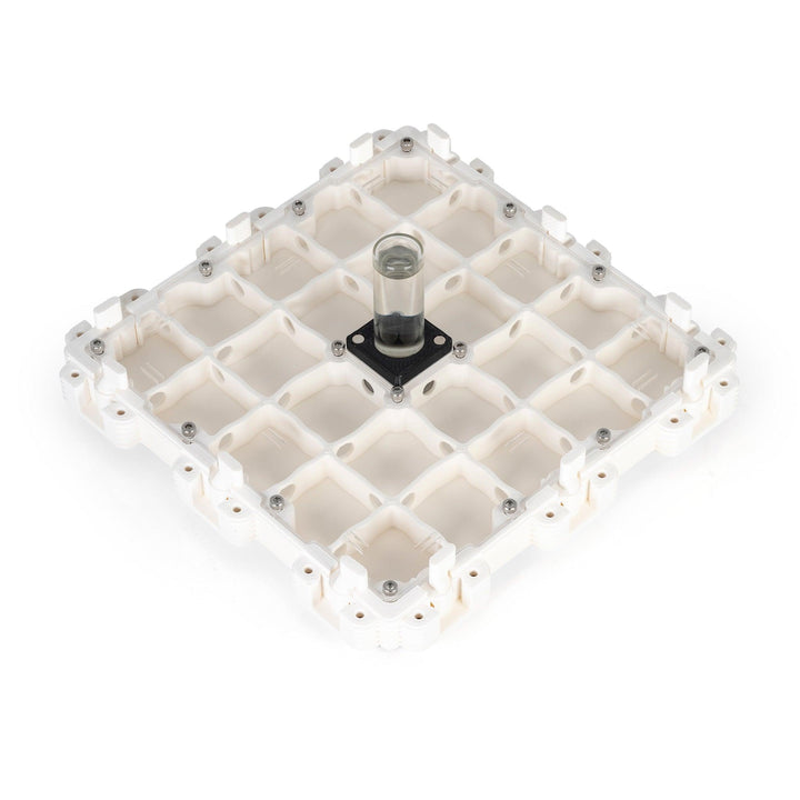 Módulo Hormiguero 3:3 - Ant Dimension