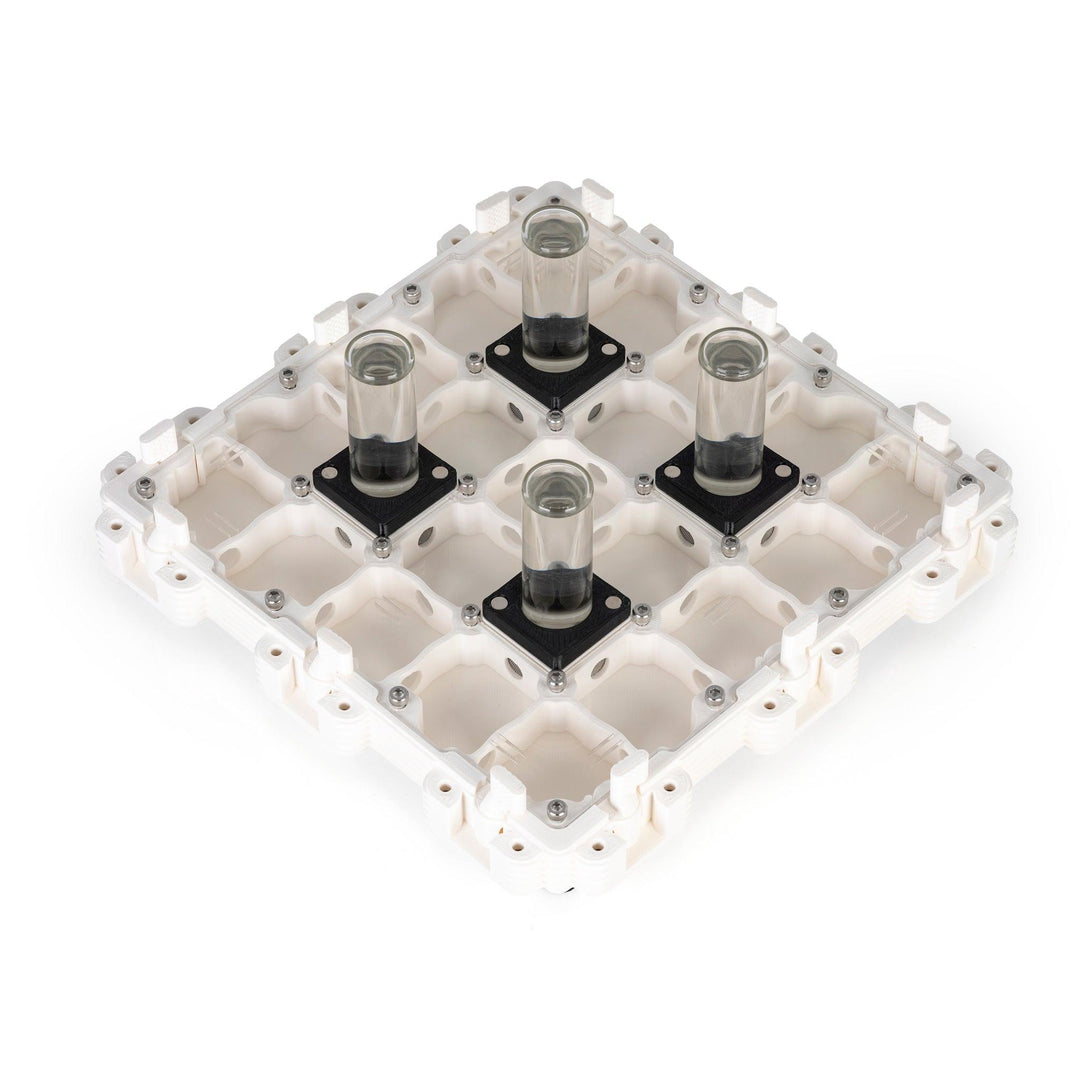 Módulo Hormiguero 3:3 - Ant Dimension