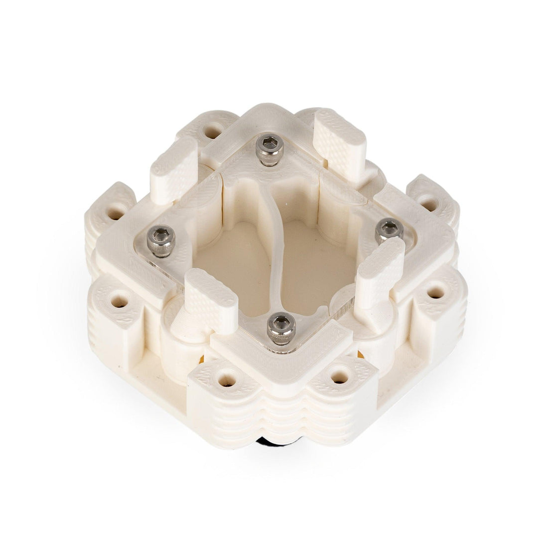 Módulo Hormiguero 1:1 - Ant Dimension