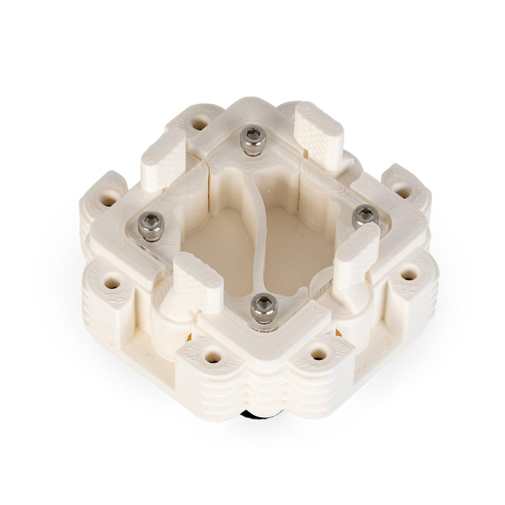 Módulo Hormiguero 1:1 - Ant Dimension