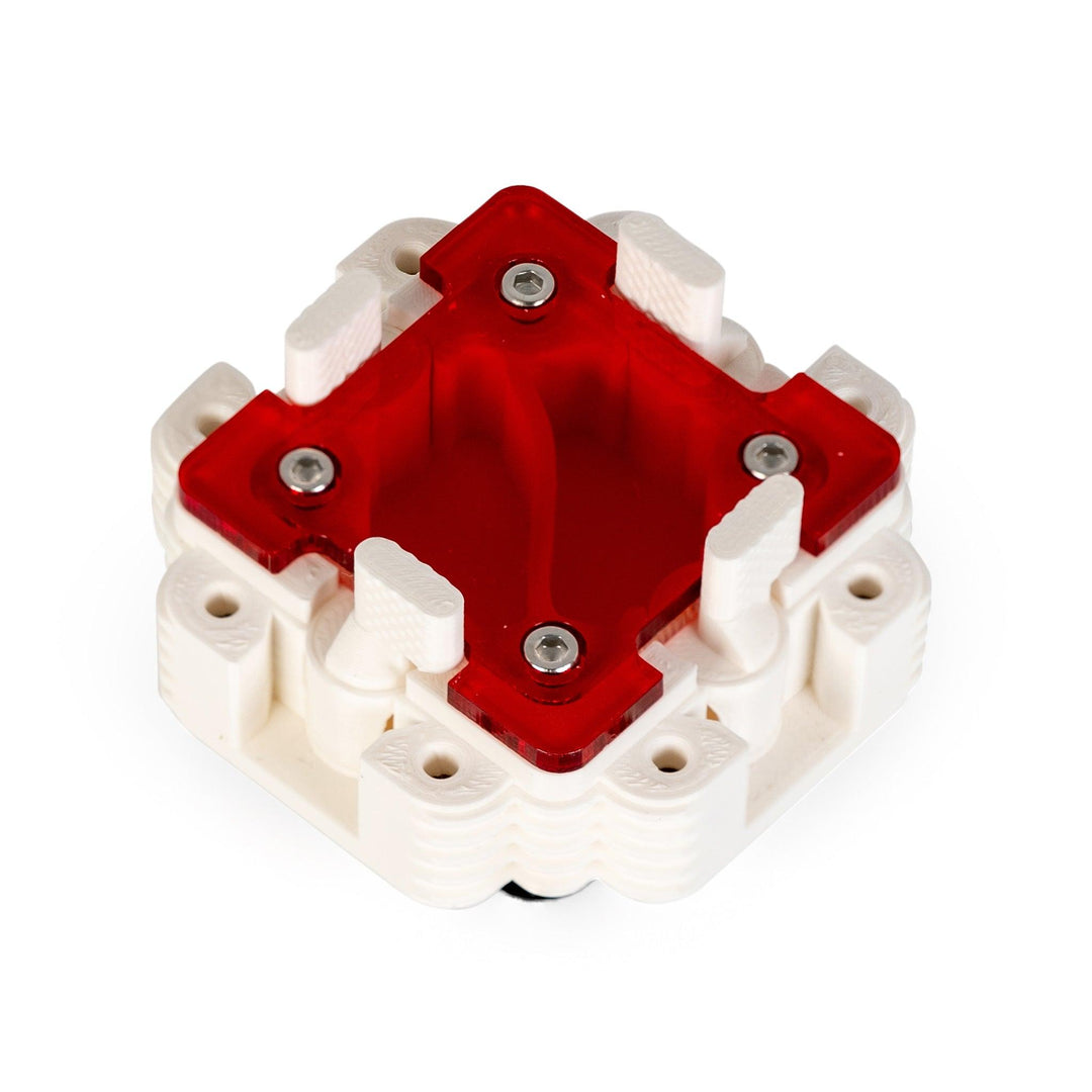 Módulo Hormiguero 1:1 - Ant Dimension