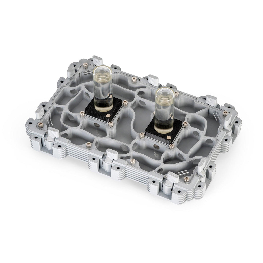 Módulo Hormiguero 3:2 - Ant Dimension