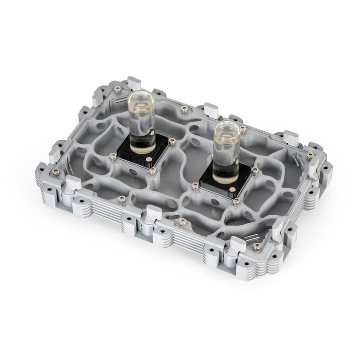 Módulo Hormiguero 3:2 - Ant Dimension