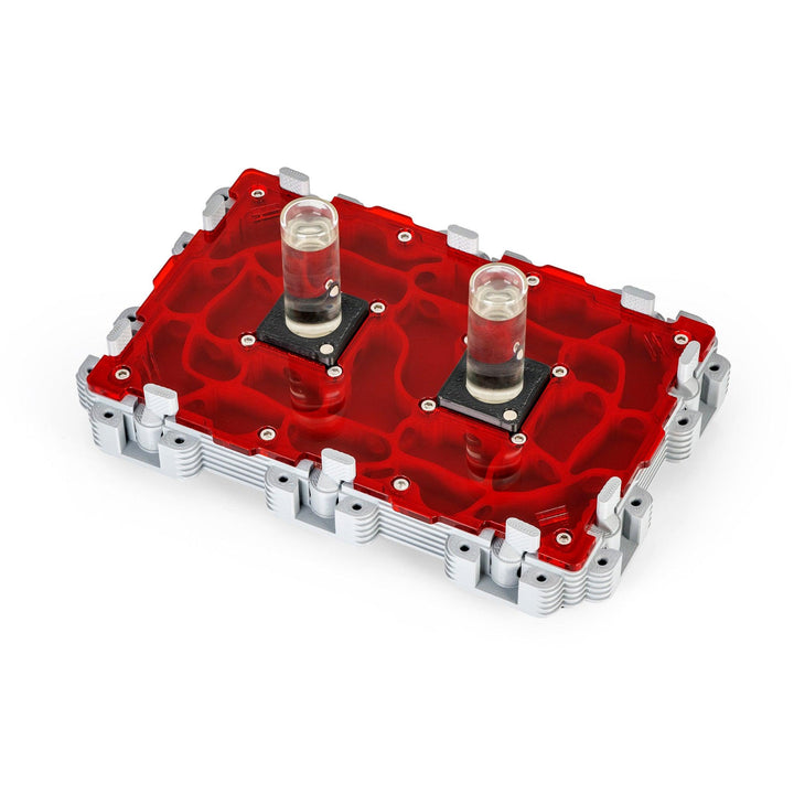 Módulo Hormiguero 3:2 - Ant Dimension