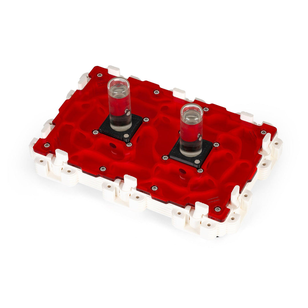 Módulo Hormiguero 3:2 - Ant Dimension