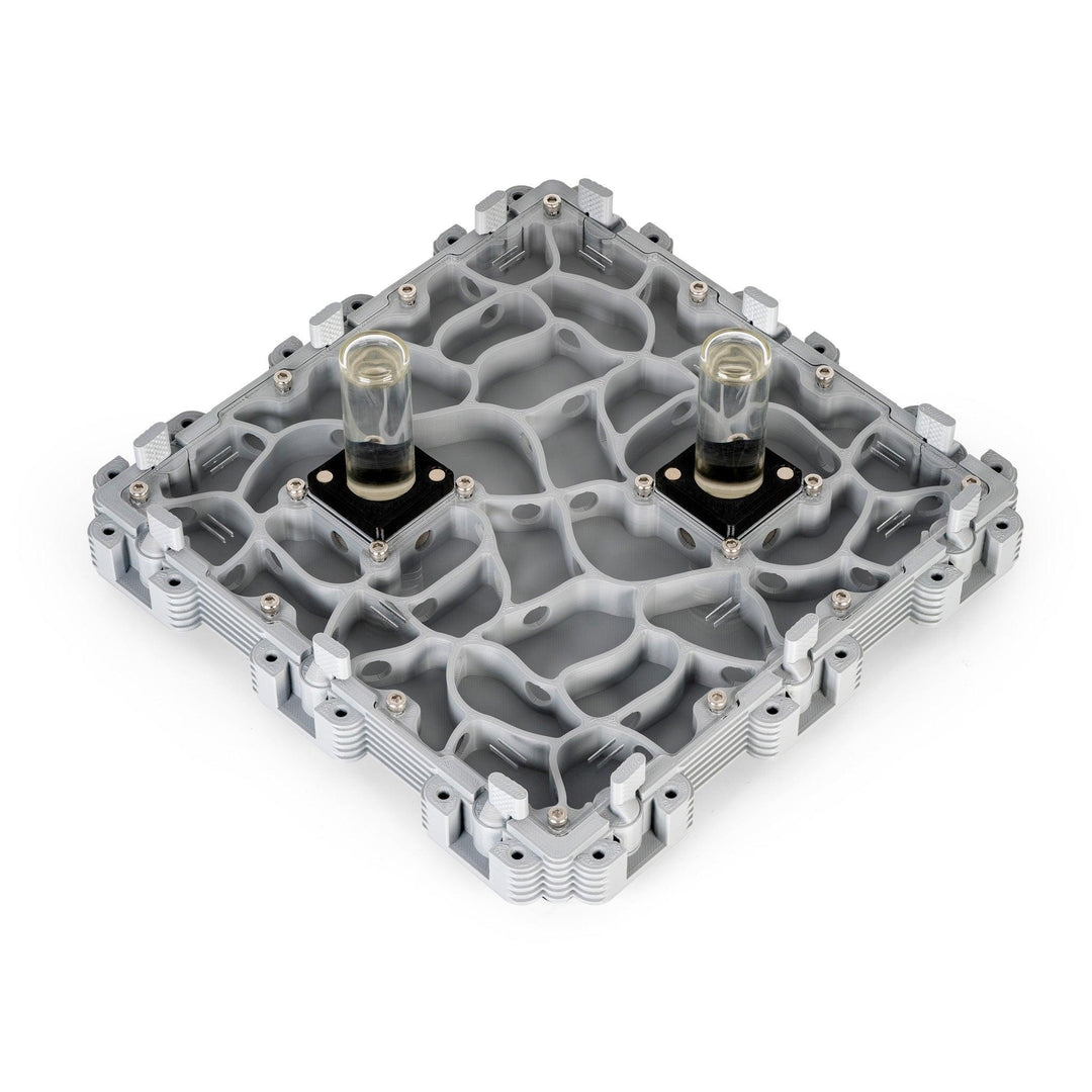 Módulo Hormiguero 3:3 - Ant Dimension