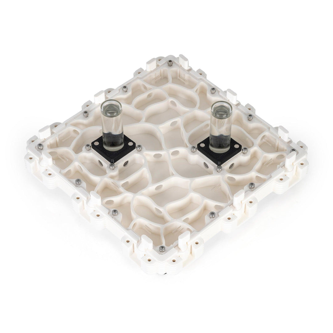 Módulo Hormiguero 3:3 - Ant Dimension