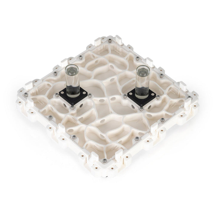 Módulo Hormiguero 3:3 - Ant Dimension