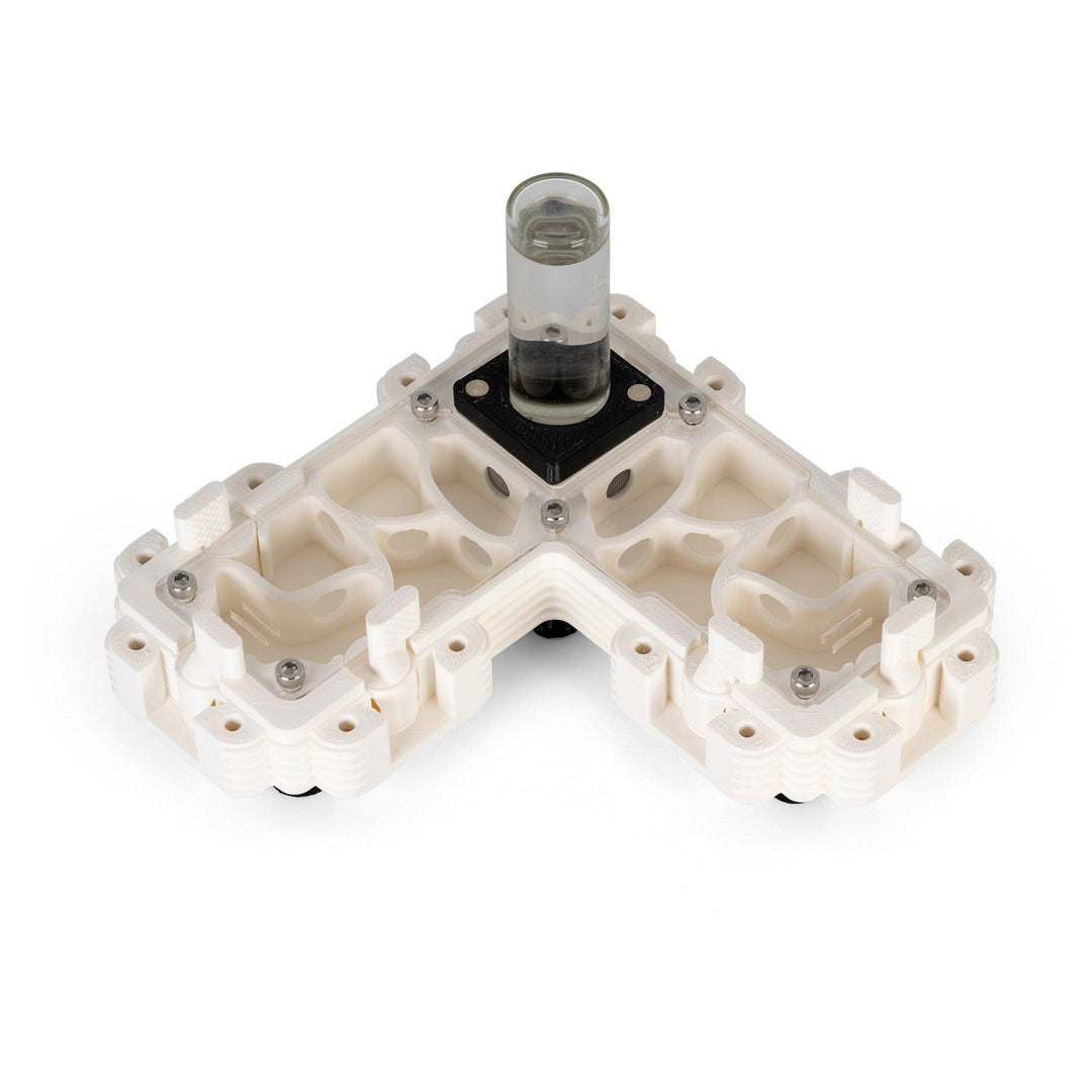 Módulo Hormiguero 2:1L - Ant Dimension