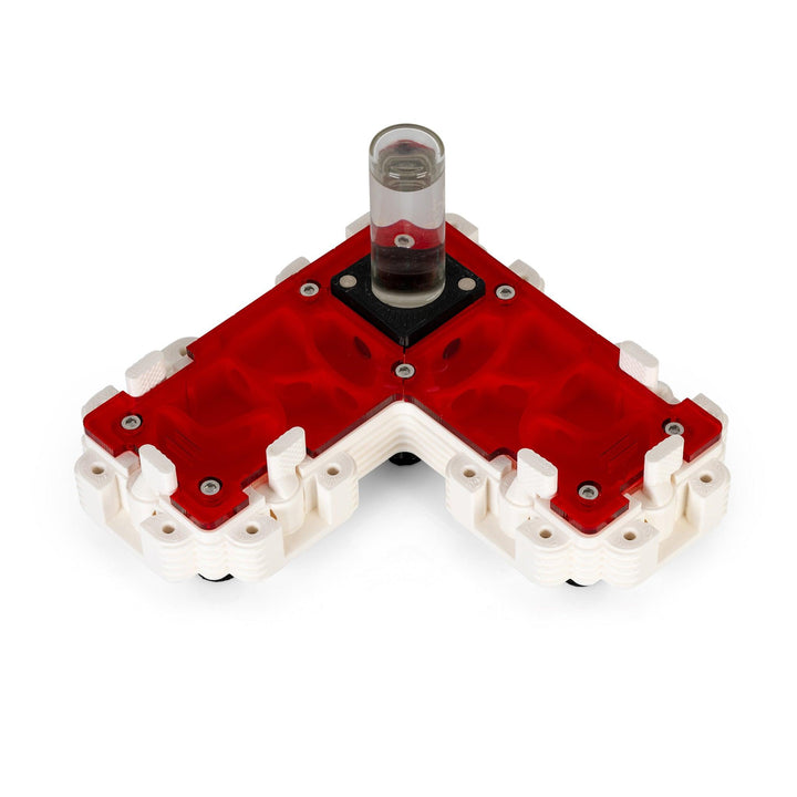 Módulo Hormiguero 2:1L - Ant Dimension