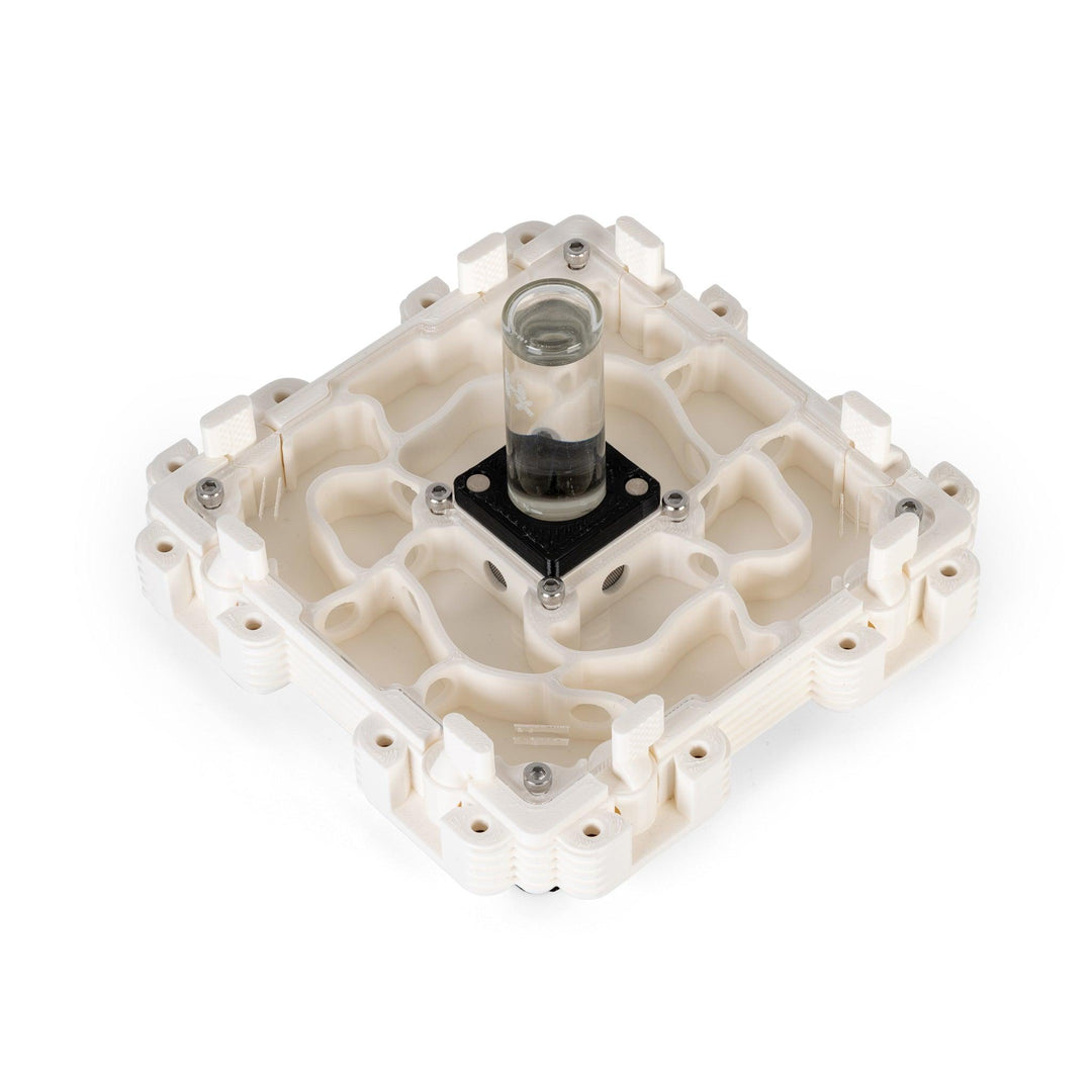 Módulo Hormiguero 2:2 - Ant Dimension