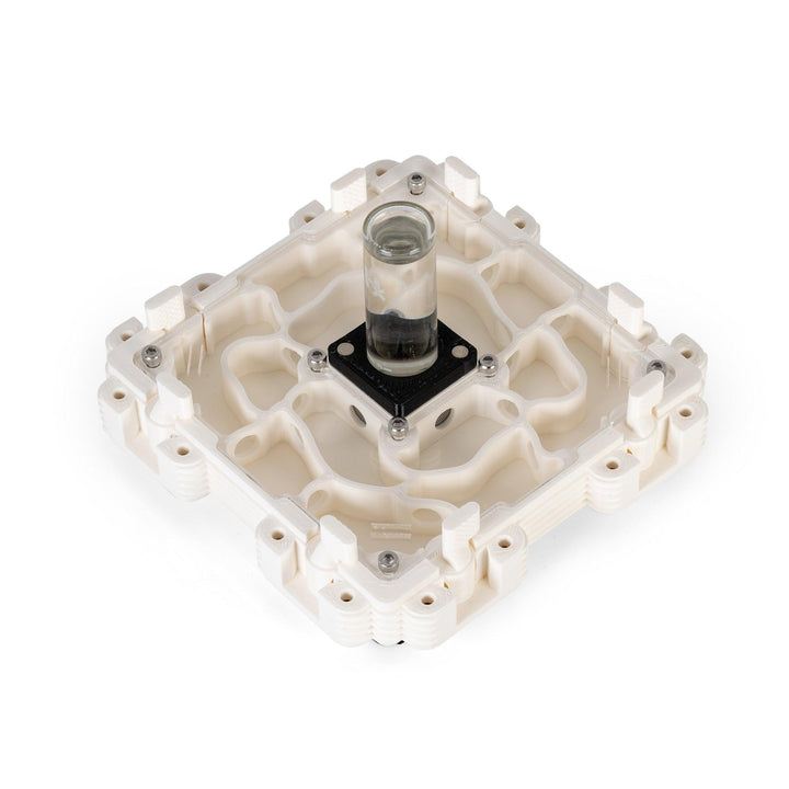 Módulo Hormiguero 2:2 - Ant Dimension