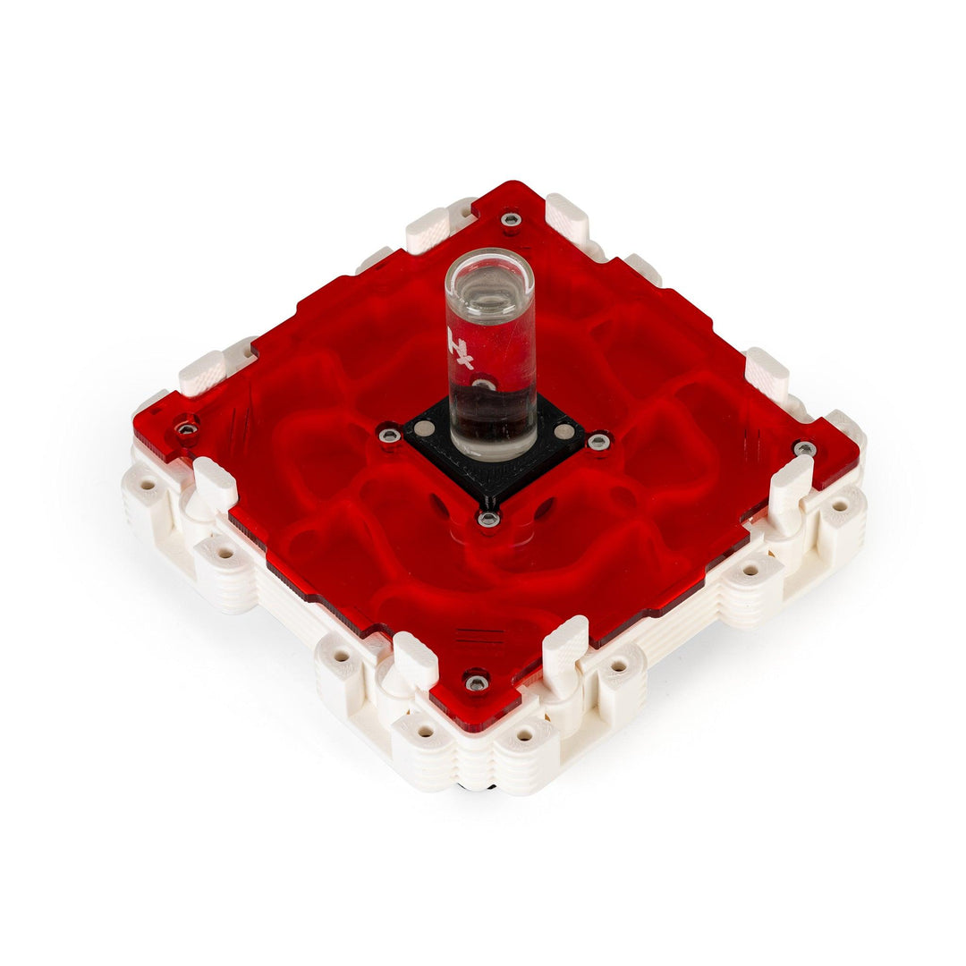 Módulo Hormiguero 2:2 - Ant Dimension