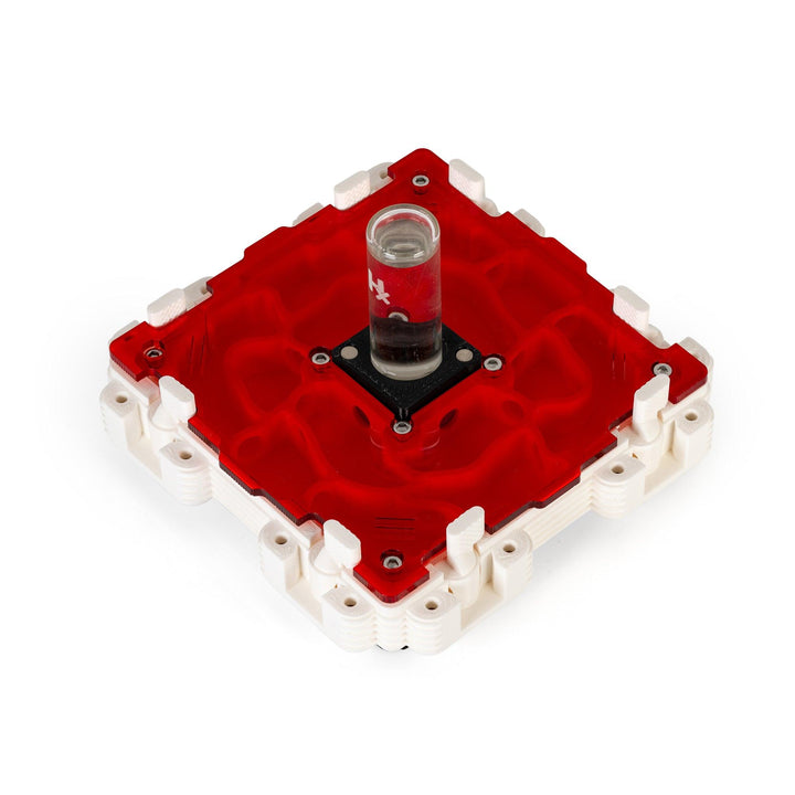 Módulo Hormiguero 2:2 - Ant Dimension