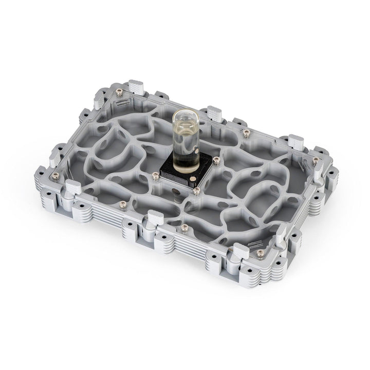 Módulo Hormiguero 3:2 - Ant Dimension