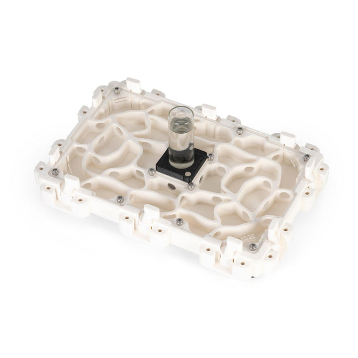 Módulo Hormiguero 3:2 - Ant Dimension