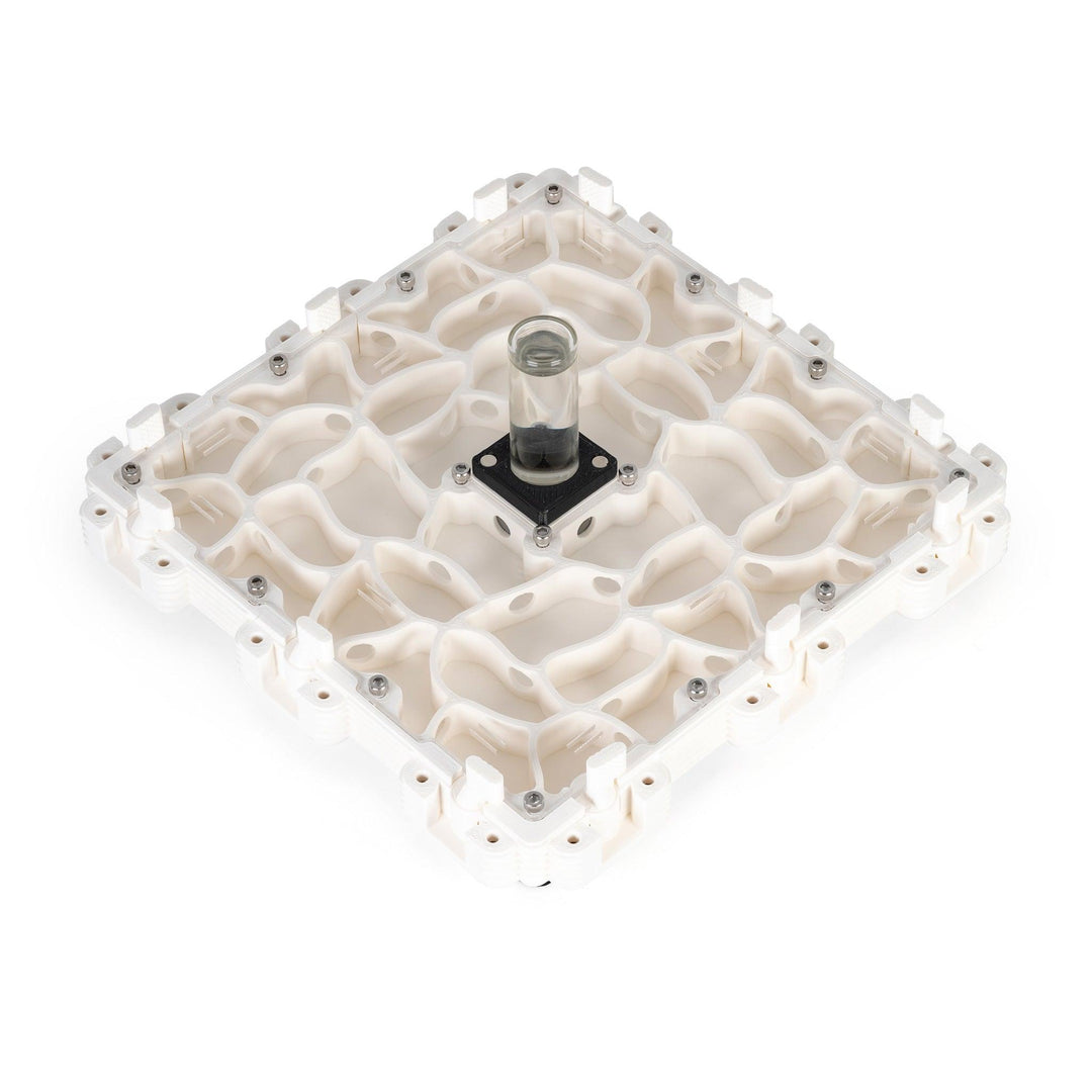 Módulo Hormiguero 3:3 - Ant Dimension