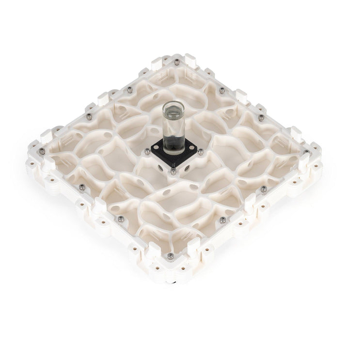 Módulo Hormiguero 3:3 - Ant Dimension