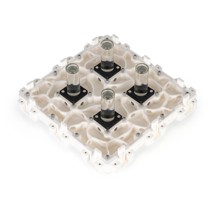 Módulo Hormiguero 3:3 - Ant Dimension