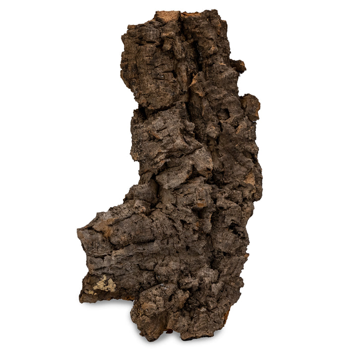 Corteza de Bornizo Natural