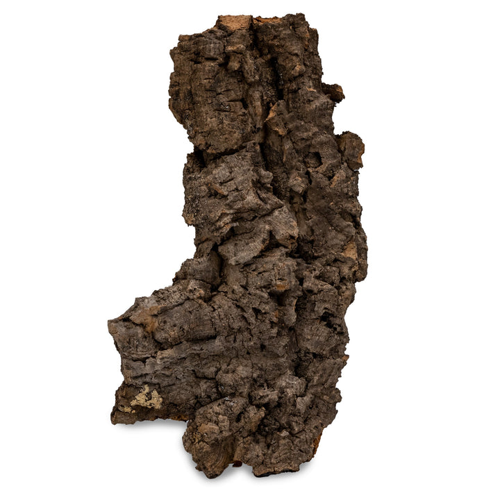 Corteza de Bornizo Natural