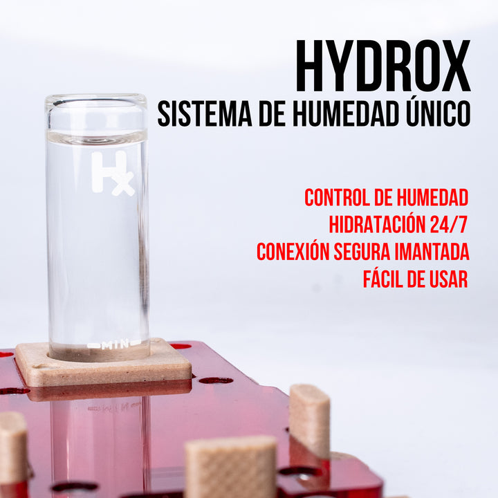 Module Fourmilière 1:1