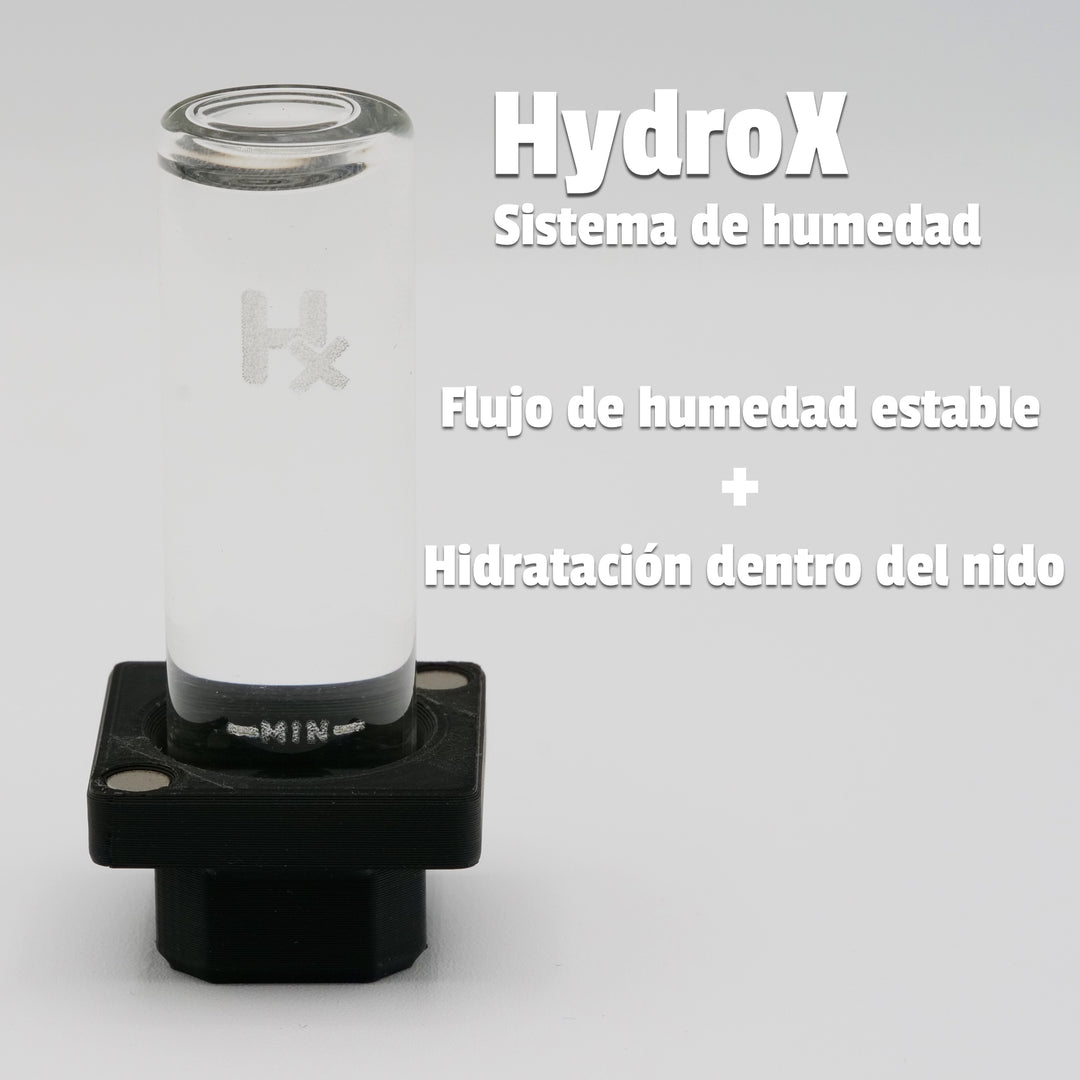 Hormiguero Natura 2:2