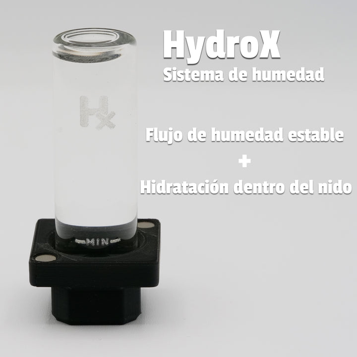 Hormiguero Natura 2:2