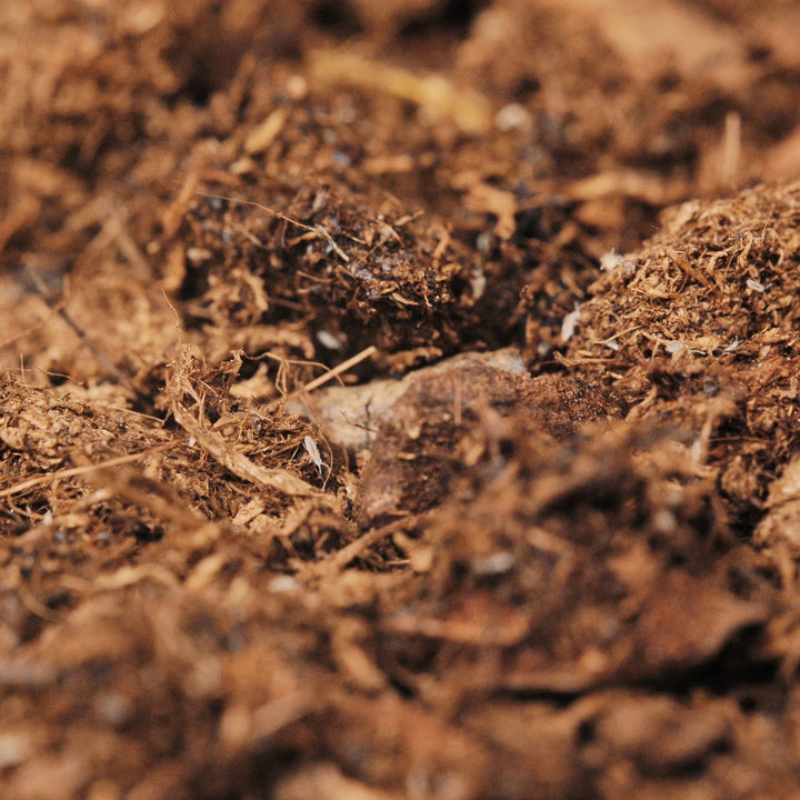 Tropisches Mix-Substrat