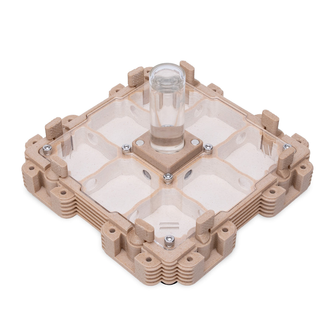 Module Fourmilière 2:2