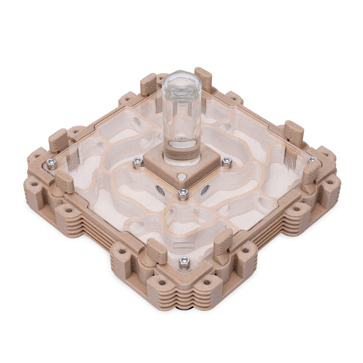 Module Fourmilière 2:2