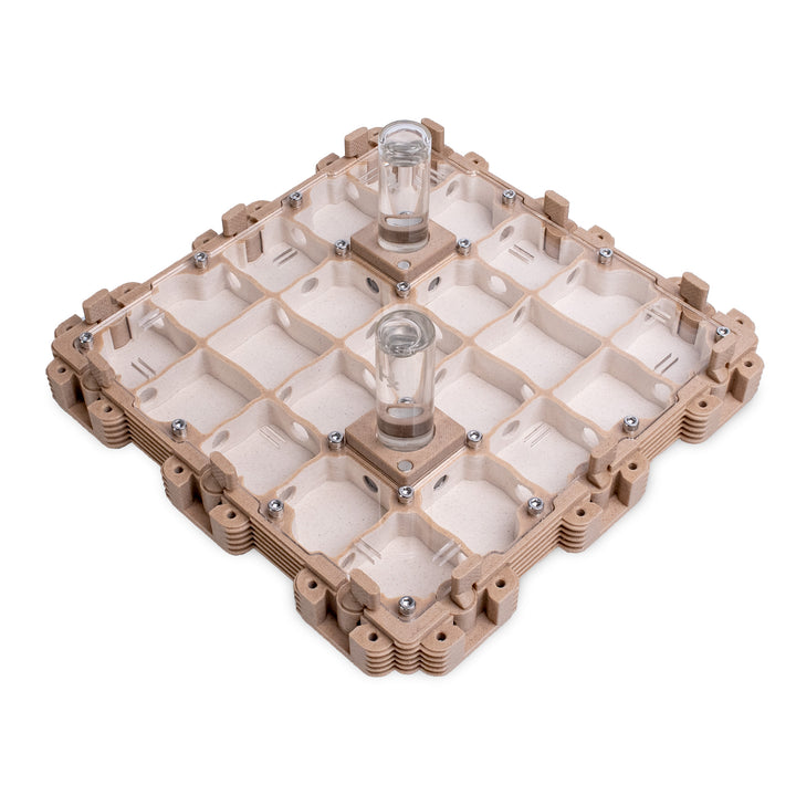 Module Fourmilière 3:3