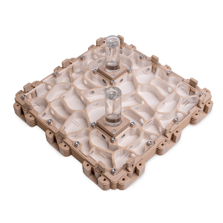 Module Fourmilière 3:3