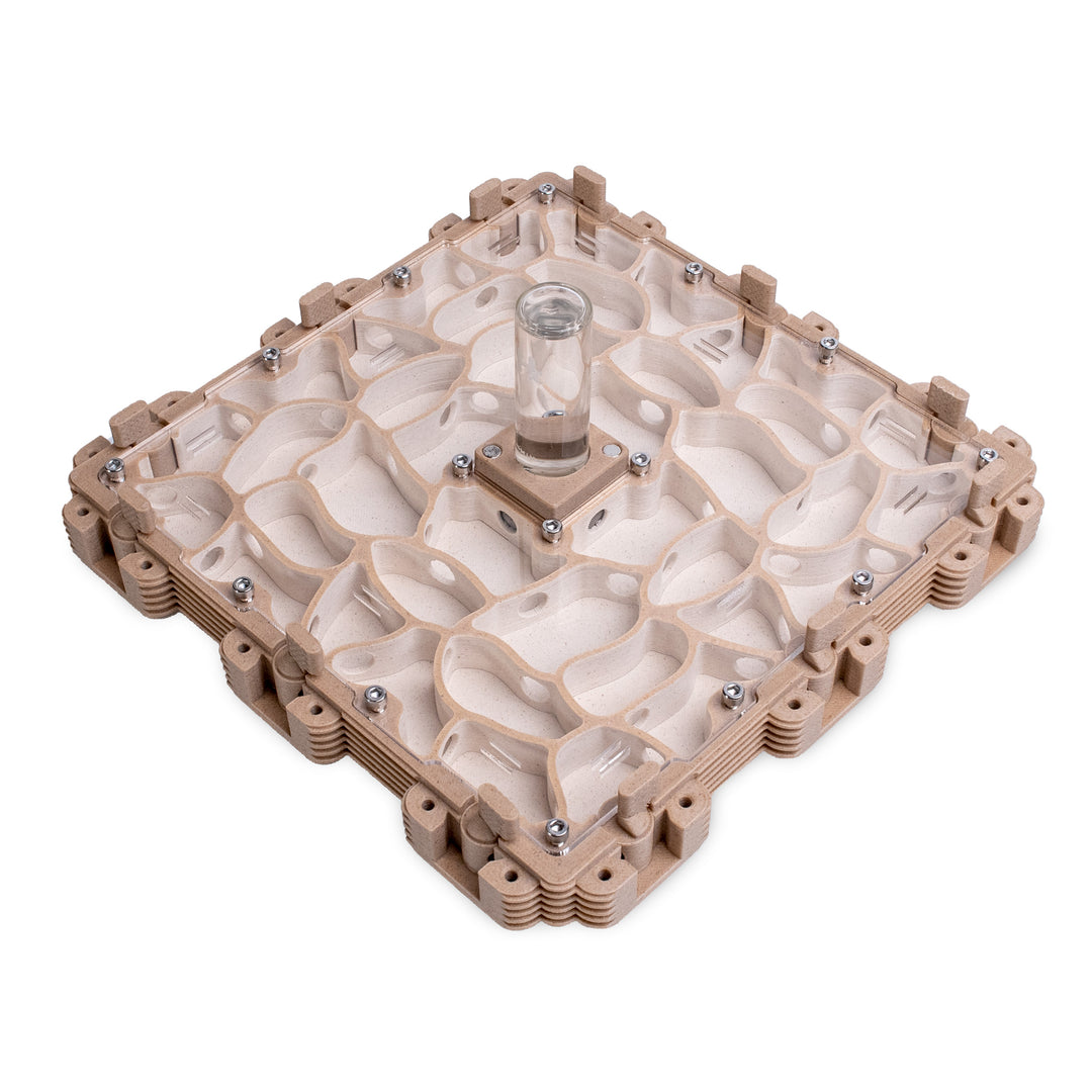 Module Fourmilière 3:3